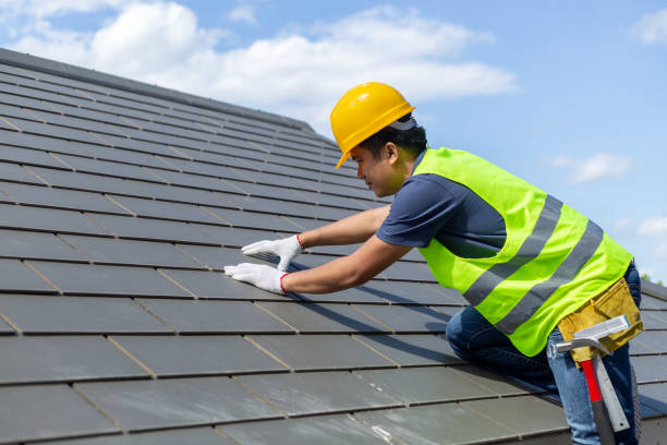 Best New Roof Installation  in Monroe, MI