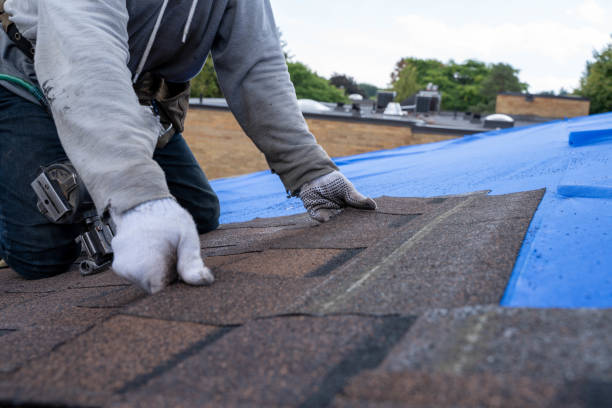 Reliable Monroe, MI Roofing Contractor Solutions