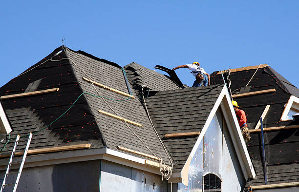 Best Best Roofing Contractors  in Monroe, MI