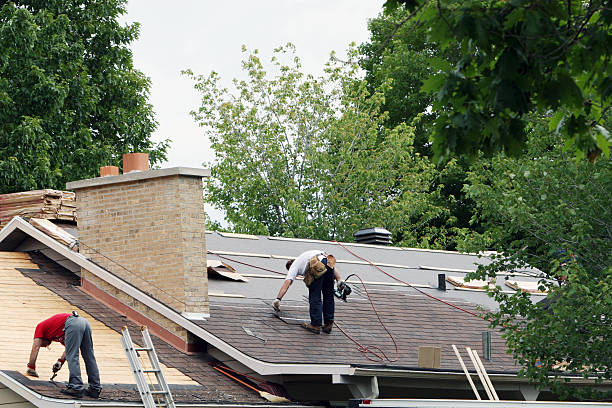 Best Roofing Contractor Near Me  in Monroe, MI