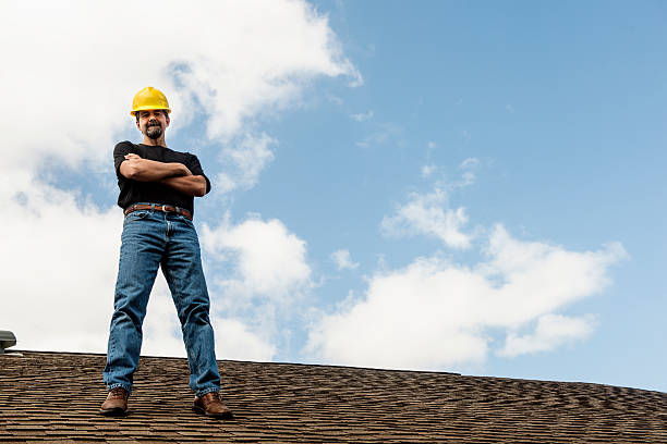 Best Roof Maintenance Services  in Monroe, MI