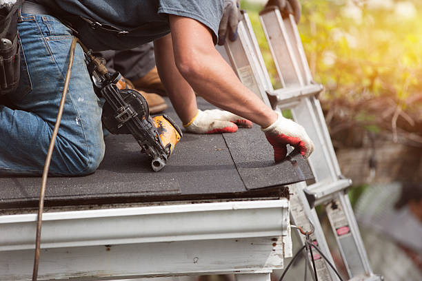 Best Affordable Roofing Company  in Monroe, MI