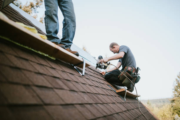 Best Local Roofing Companies  in Monroe, MI