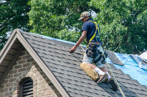 Best Metal Roofing Contractor  in Monroe, MI