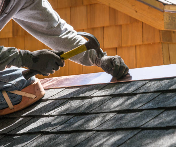 Best Commercial Roofing Services  in Monroe, MI
